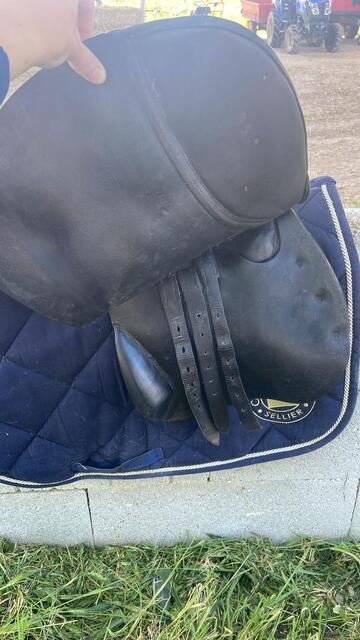 Selle terry’s