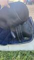 Selle terry’s
