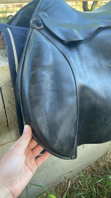 Selle terry’s