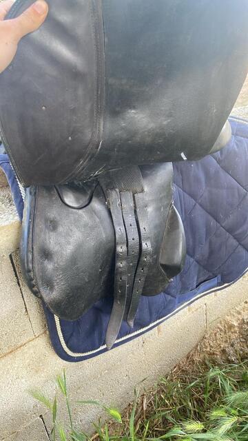 Selle terry’s