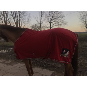 Magnifique polaire rouge