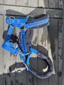 Licol bleu électrique