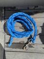 Licol bleu électrique