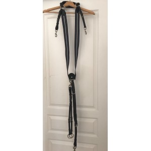 Collier de chasse Antares