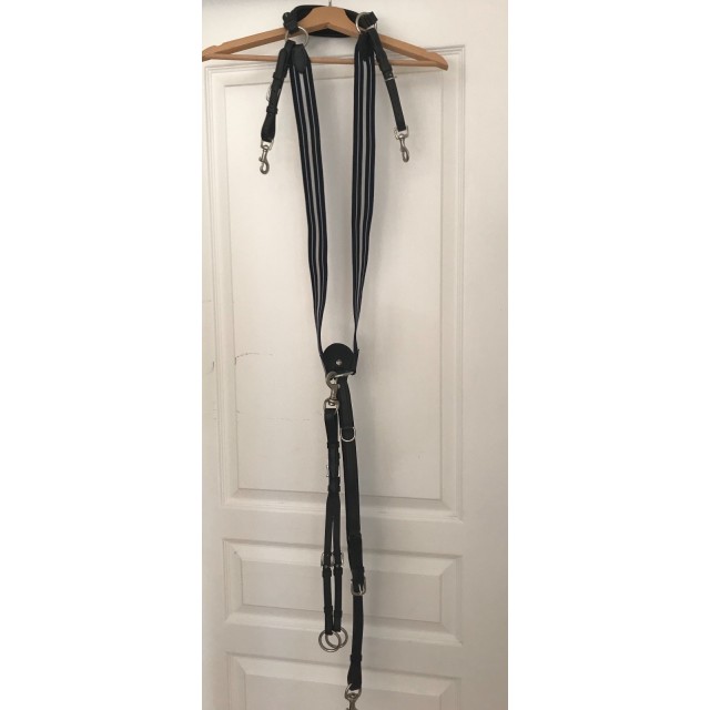 Collier de chasse Antares