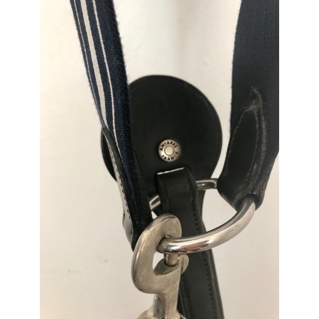 Collier de chasse Antares