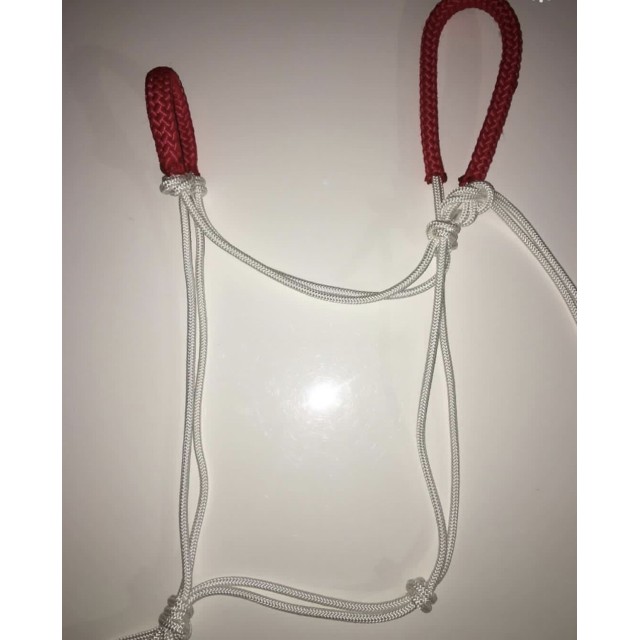 Licol ethologique taille cheval blanc et rouge