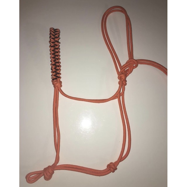 Licol ethologique taille cheval orange et noir