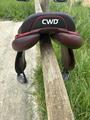 Selle CWD Mademoiselle 17.5 pouves