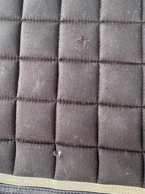 Tapis Lamicell. taille: full