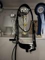 Bridon Norton Pro Bella