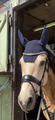 Bonnet paddock sport