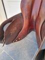 Selle Childeric FAP 18’́