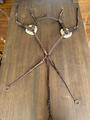 collier de chasse 5 points mouton