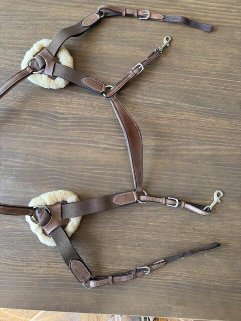 collier de chasse 5 points mouton