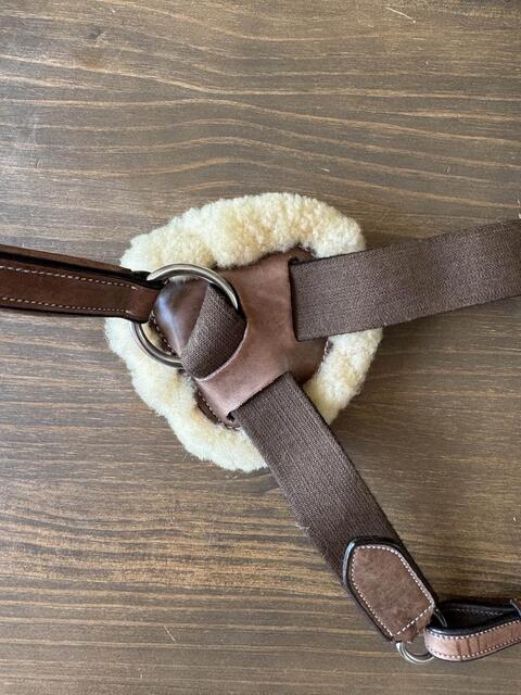 collier de chasse 5 points mouton