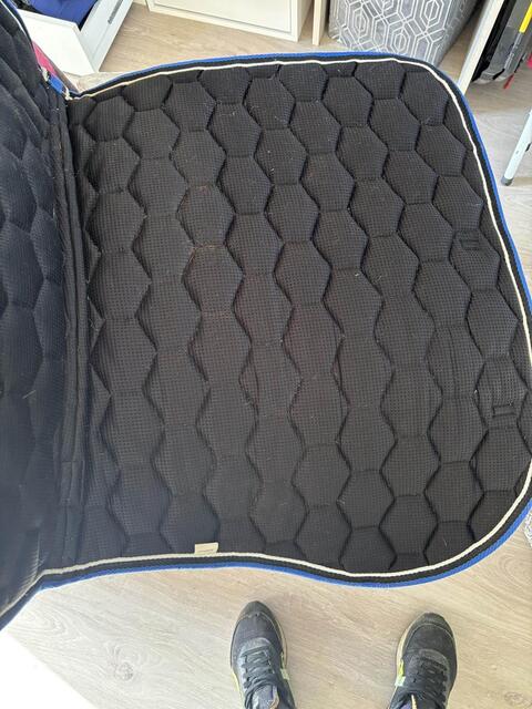 Tapis equitheme bleu roi