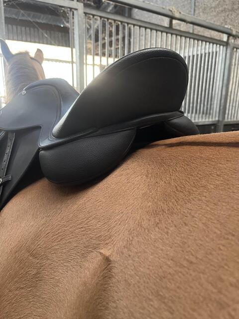 Selle Wintec 500HART mixte 17,5