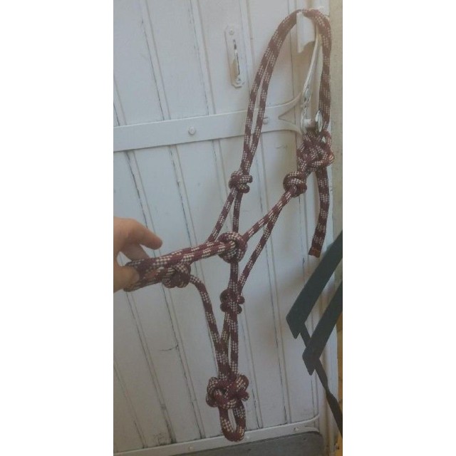 Licol éthologie bordeau