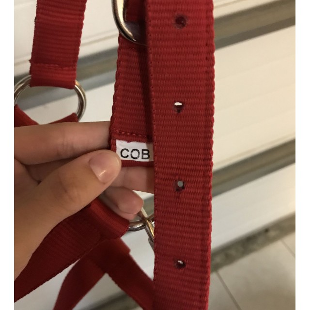Licol Rouge Padd