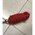 Licol Rouge Padd