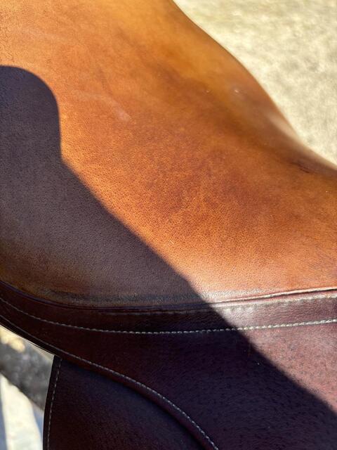 selle forestier 17’
