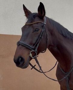 BRIDON ANATOMIQUE CLERMONT HORZE (TAILLE: CHEVAL - COULEUR: MARRON FONCÉ)