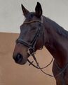 BRIDON ANATOMIQUE CLERMONT HORZE (TAILLE: CHEVAL - COULEUR: MARRON FONCÉ)