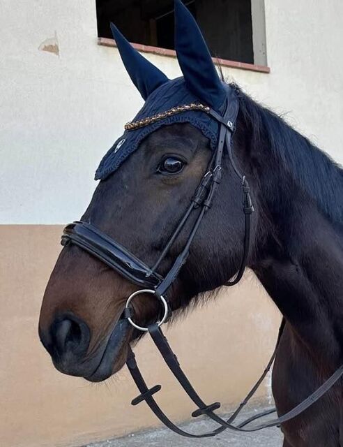 BRIDON ANATOMIQUE CLERMONT HORZE (TAILLE: CHEVAL - COULEUR: MARRON FONCÉ)