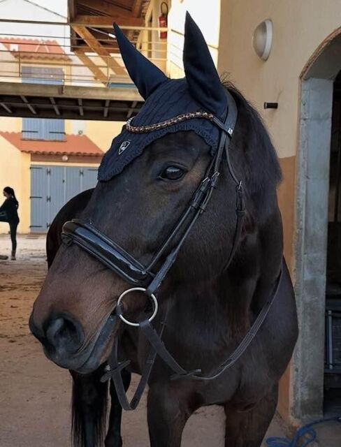 BRIDON ANATOMIQUE CLERMONT HORZE (TAILLE: CHEVAL - COULEUR: MARRON FONCÉ)