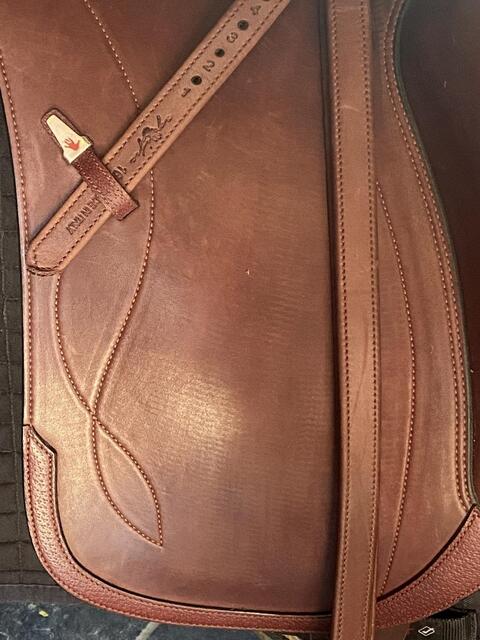 Selle Équipe Olympia 18