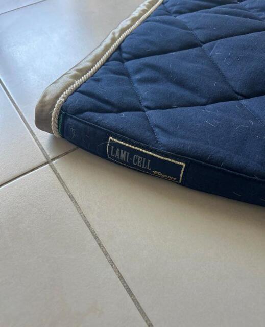 Tapis dressage