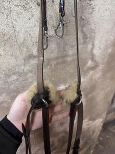 collier de chasse devoucoux