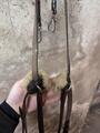 collier de chasse devoucoux