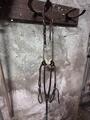 collier de chasse devoucoux