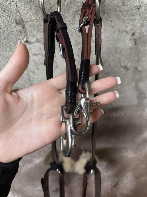 collier de chasse devoucoux