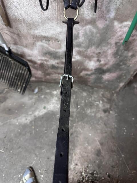 collier de chasse devoucoux