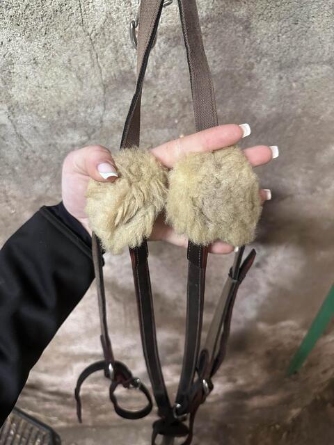 collier de chasse devoucoux