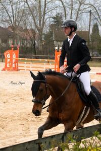 veste concours horse pilot