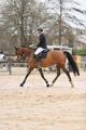 veste concours horse pilot