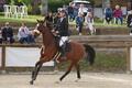 veste concours horse pilot
