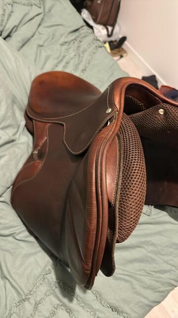 Selle Gt concept 17,5
