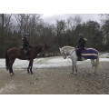 Couvre rein poney