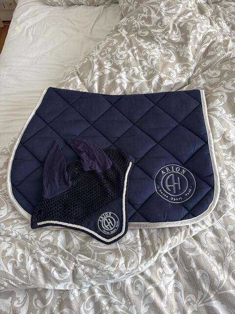 Ensemble ARION