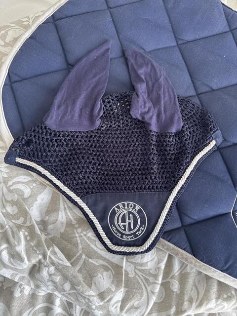 Ensemble ARION