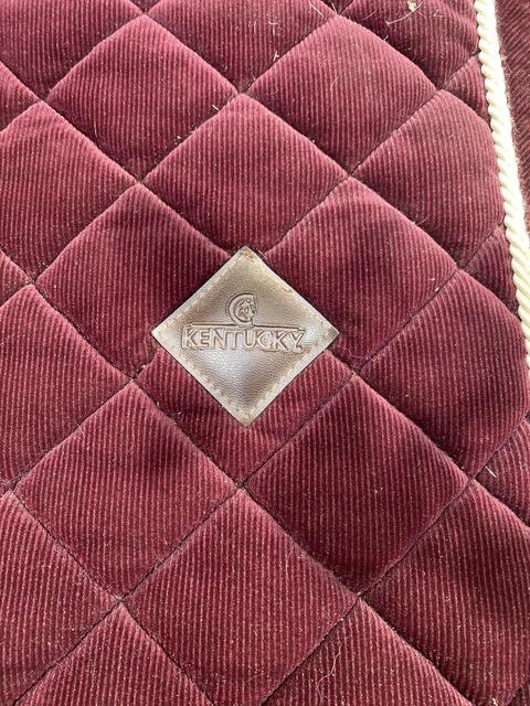 Tapis Kentucky