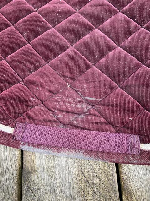 Tapis Kentucky