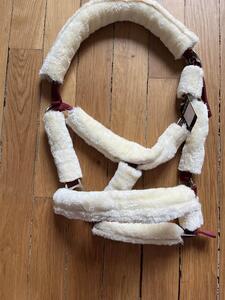 Licol norton mouton