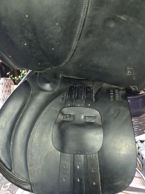 Selle obstacle Ikonic 2015 noire