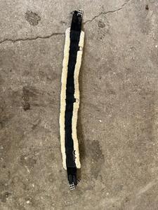 Sangle Kentucky mouton